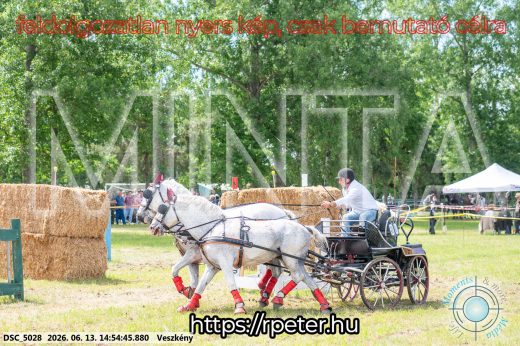 Mintakép 20260613-914