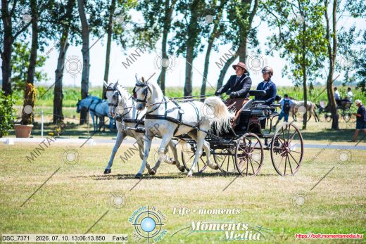 20260710-130613-DSC_7371.jpg