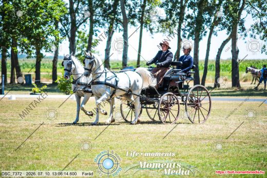 20260710-130614-DSC_7372.jpg