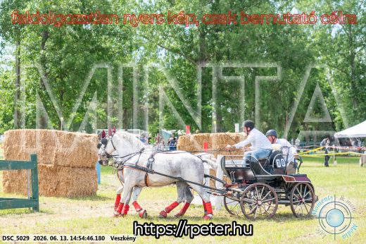 Mintakép 20260613-915