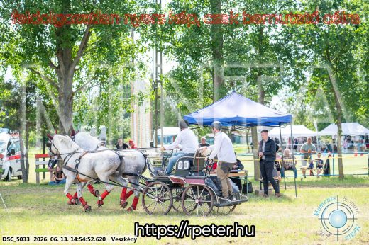 Mintakép 20260613-919