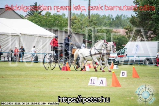 Mintakép 20260614-313