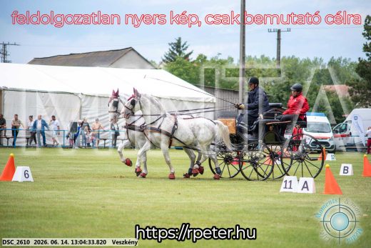 Mintakép 20260614-315