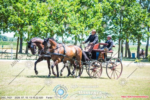 Mintakép 20260710-220
