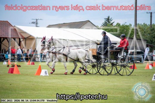 Mintakép 20260614-316