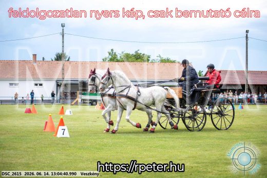 Mintakép 20260614-319