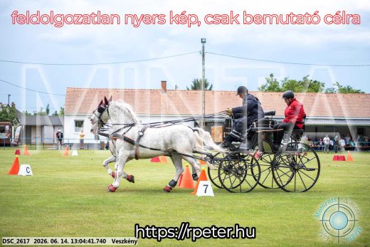Mintakép 20260614-321