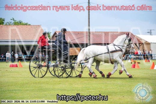 Mintakép 20260614-326