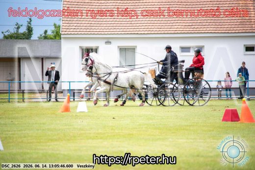 Mintakép 20260614-329