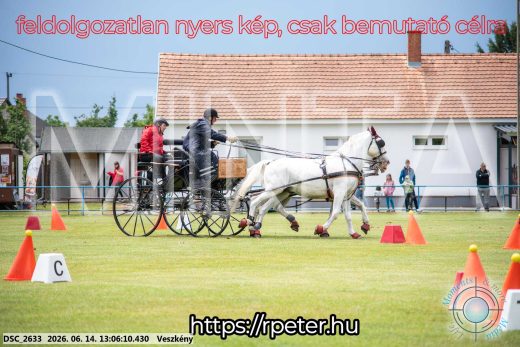 Mintakép 20260614-330