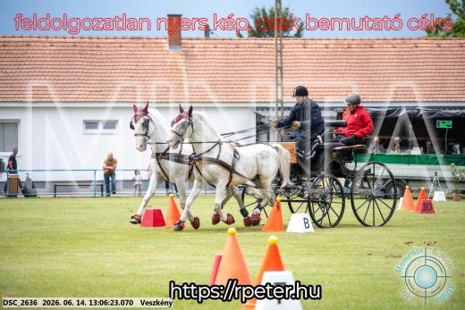 Mintakép 20260614-333