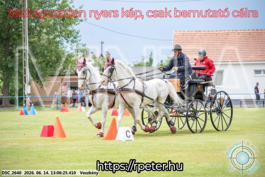 Mintakép 20260614-334