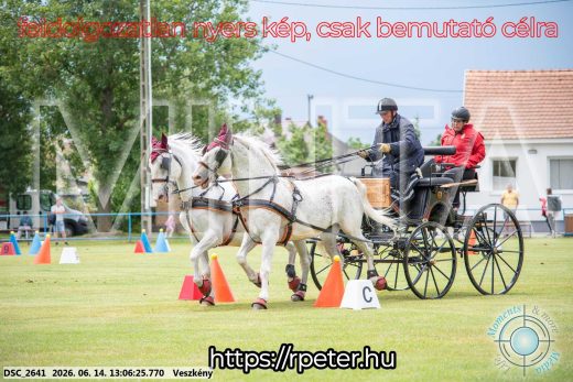 Mintakép 20260614-335