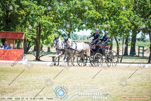 Mintakép 20260710-320