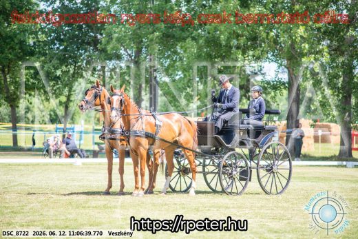 Mintakép 20260612-504
