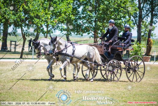 Mintakép 20260710-328
