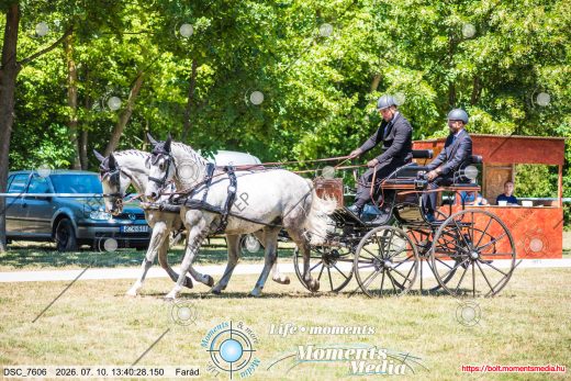 Mintakép 20260710-330