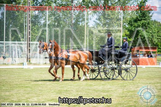 Mintakép 20260612-506