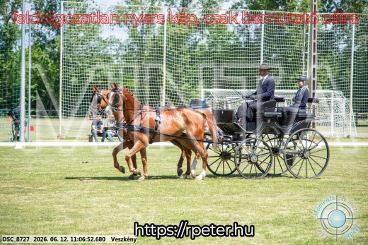 Mintakép 20260612-507