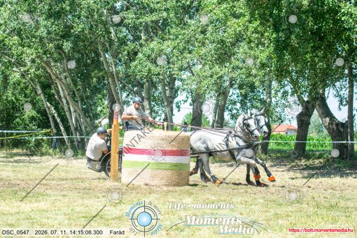 Mintakép 20260711-374