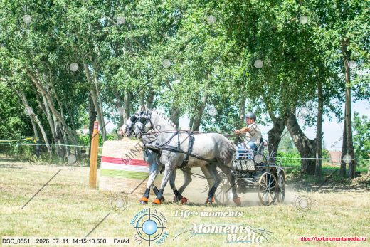 Mintakép 20260711-377