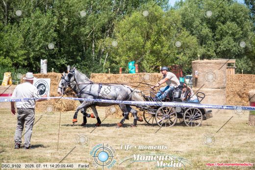 Mintakép 20260711-388