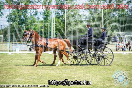 Mintakép 20260612-509