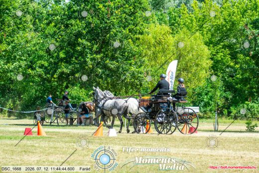 Mintakép 20260712-243