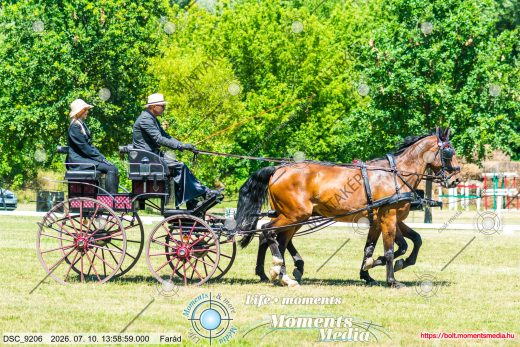 20260710-135859-DSC_9206.jpg