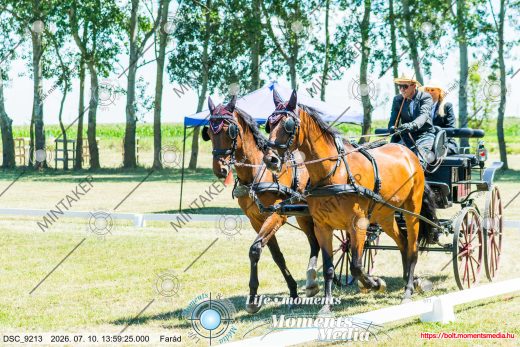 Mintakép 20260710-340
