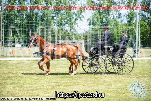 Mintakép 20260612-512