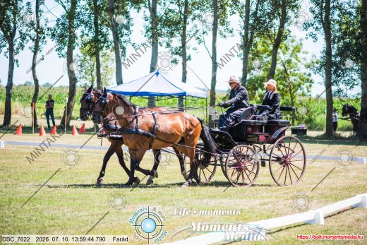 Mintakép 20260710-342