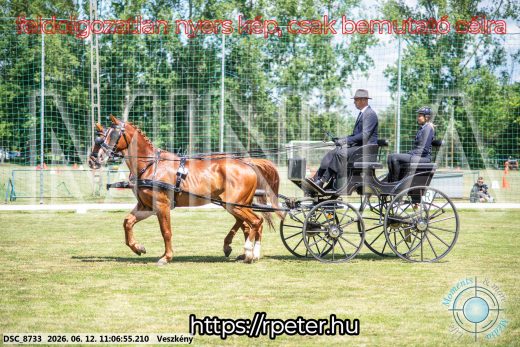 Mintakép 20260612-513