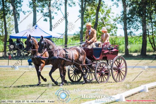 Mintakép 20260710-391
