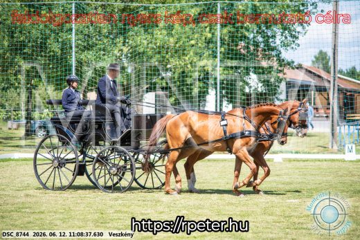 Mintakép 20260612-520