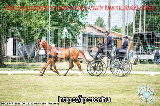 Mintakép 20260612-522