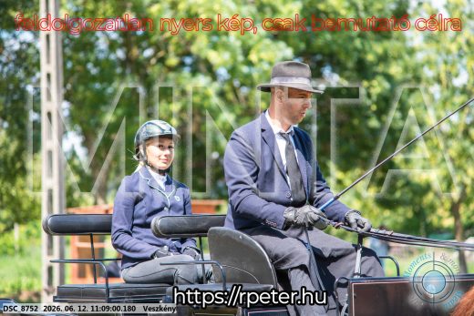 Mintakép 20260612-523