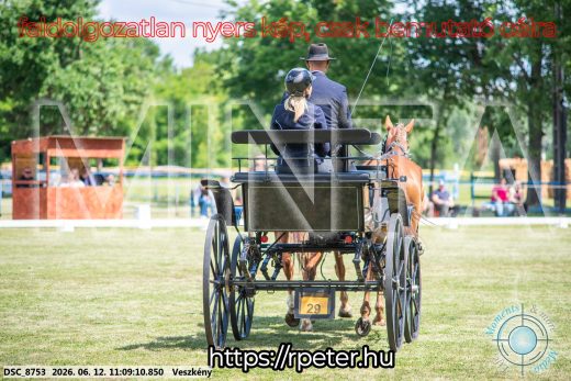Mintakép 20260612-524