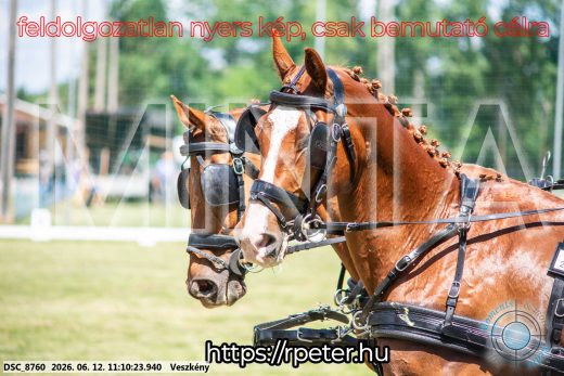 Mintakép 20260612-525
