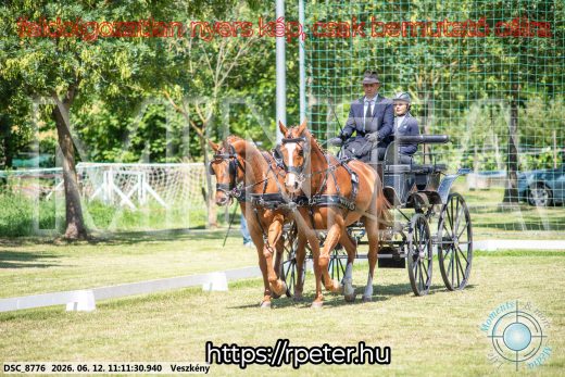Mintakép 20260612-527