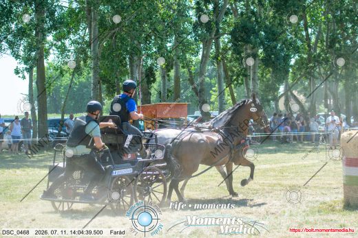 Mintakép 20260711-440
