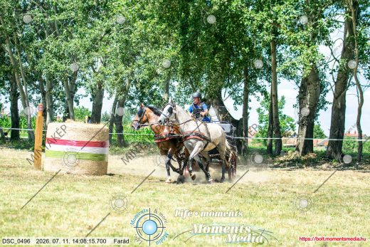 Mintakép 20260711-452