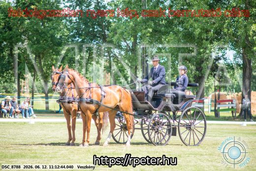 Mintakép 20260612-531