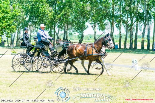 Mintakép 20260710-438