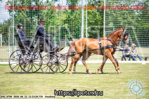 Mintakép 20260612-534