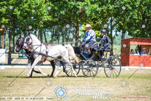 Mintakép 20260710-457