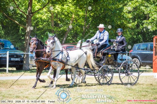Mintakép 20260710-462
