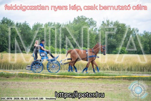 Mintakép 20260613-920