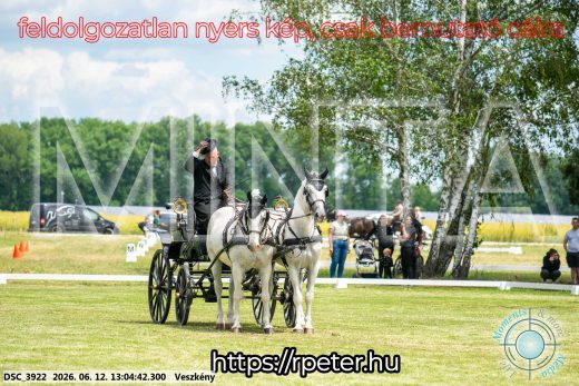 20260612-130442-DSC_3922.jpg