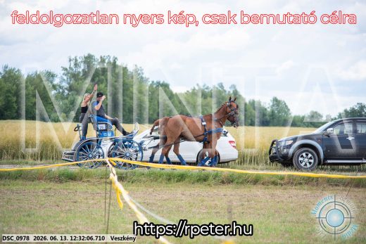 Mintakép 20260613-921
